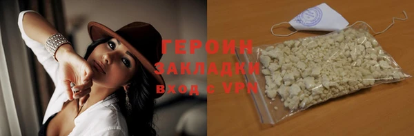 индика Вяземский