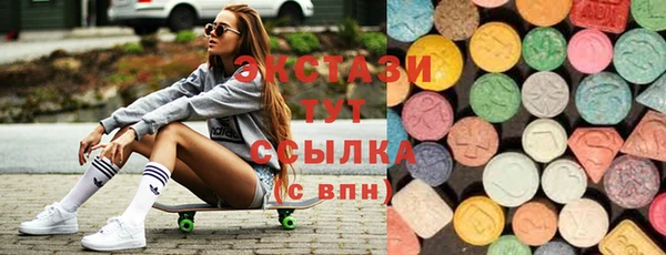 индика Вяземский