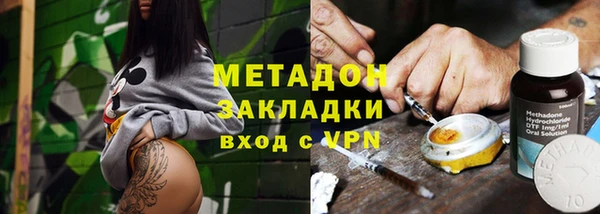 индика Вяземский